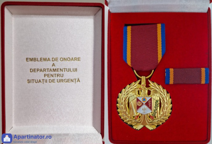 Emblema de Onoare DSU